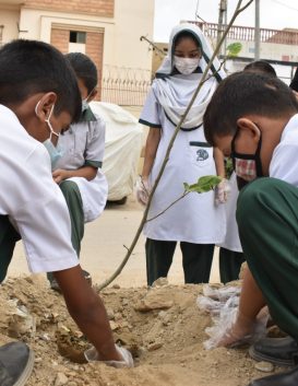 kids planting the plants