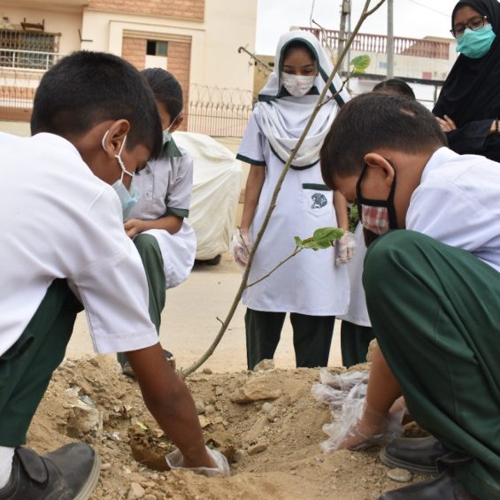 kids planting the plants